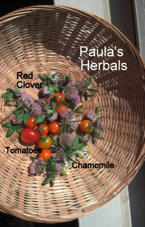 Morning Harvest | Paula's Herbals