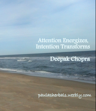 Attention and Intention| Paula's Herbals