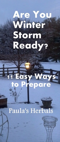 Get Winter Storm Ready with These 11 Tips | Paula's Herbals
