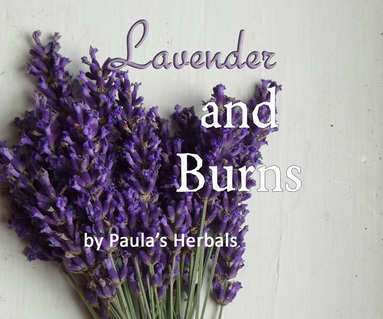 Lavender and Burns | Paula's Herbals