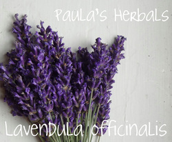 Lavender for Summer Remedies | Paula's Herbals