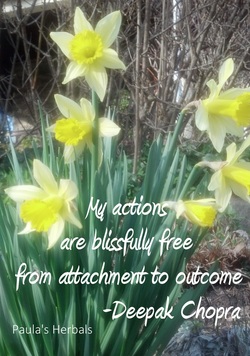 Blissful Detachment | Paula's Herbals Blog